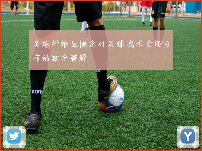 足球纤维丛概念对足球战术空间分布的数学解释