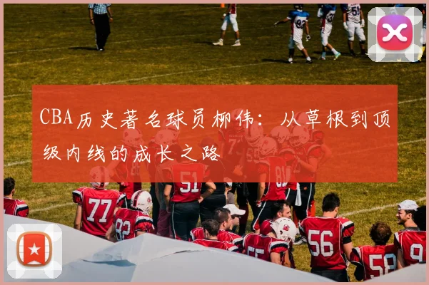 CBA历史著名球员柳伟：从草根到顶级内线的成长之路