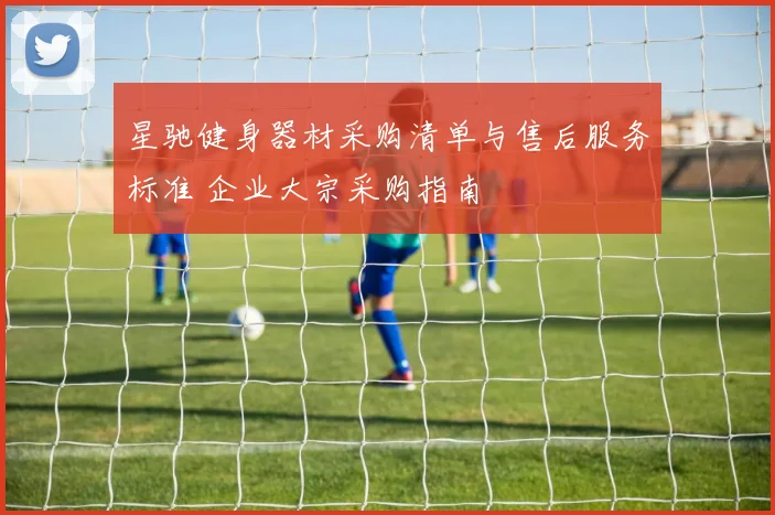 星驰健身器材采购清单与售后服务标准 企业大宗采购指南
