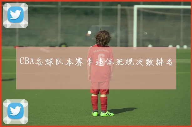 CBA各球队本赛季违体犯规次数排名